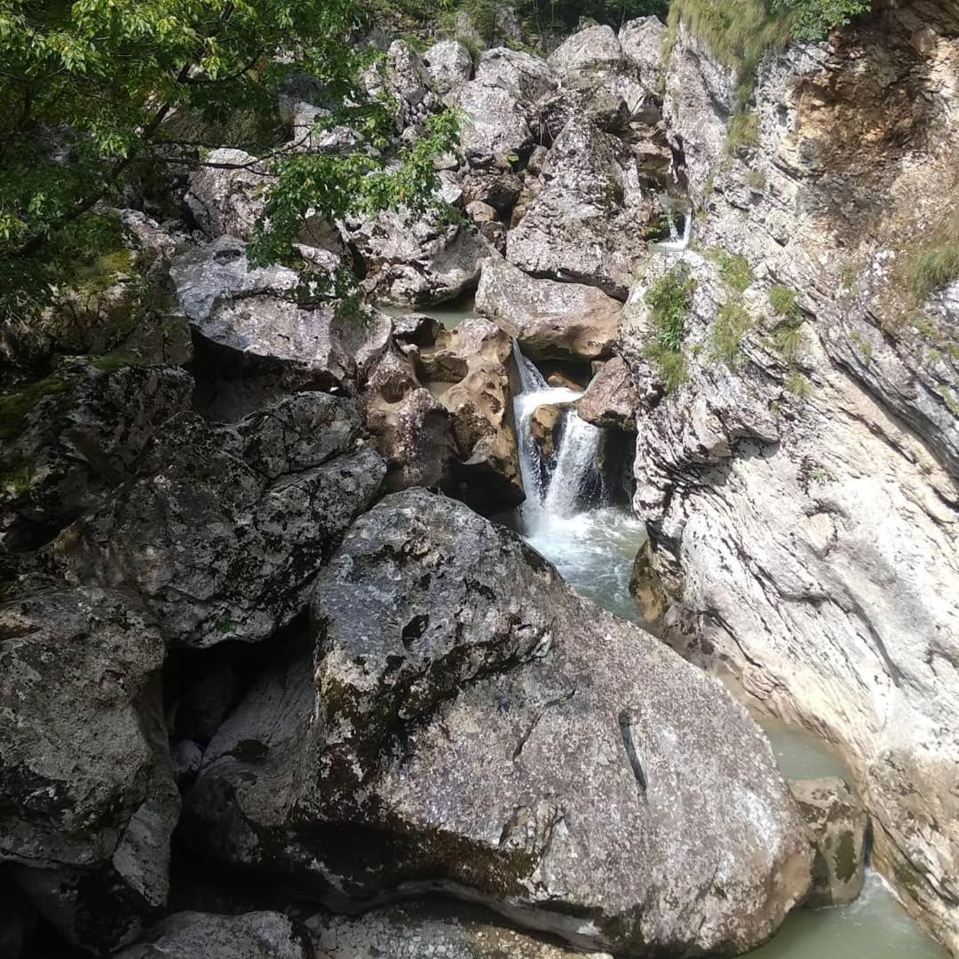 Guesthouse Letnja Basta Gornji Lukomir Εξωτερικό φωτογραφία